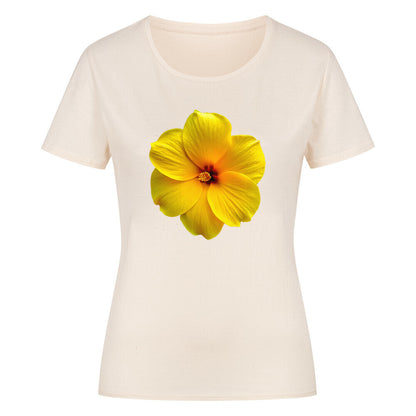 f47605de-96df-4afa-971a-11937e37fb0f