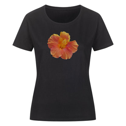 2d256443-d4cd-4af9-85a8-3cda8fe83b11