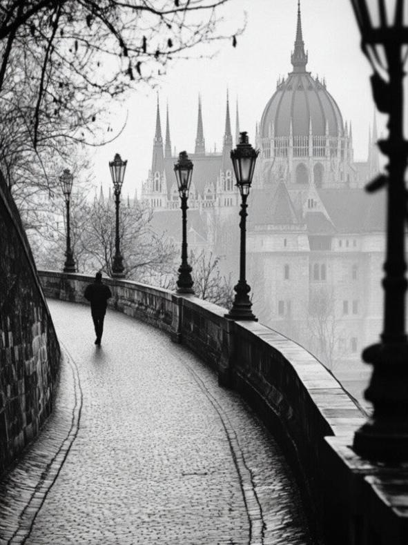 Fotografie schwarz weiß Laternenstraße auf Leinwand gedruckt